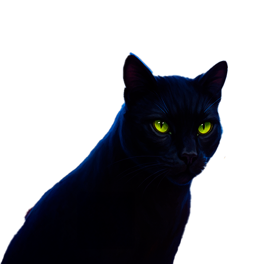 character-cat